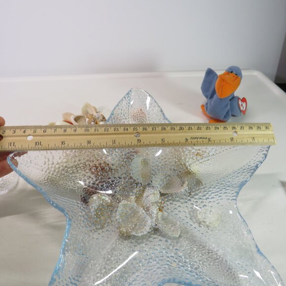 sea shells, acrylic sea turtle, TY Scoop pelican collection - Picture 11 of 13